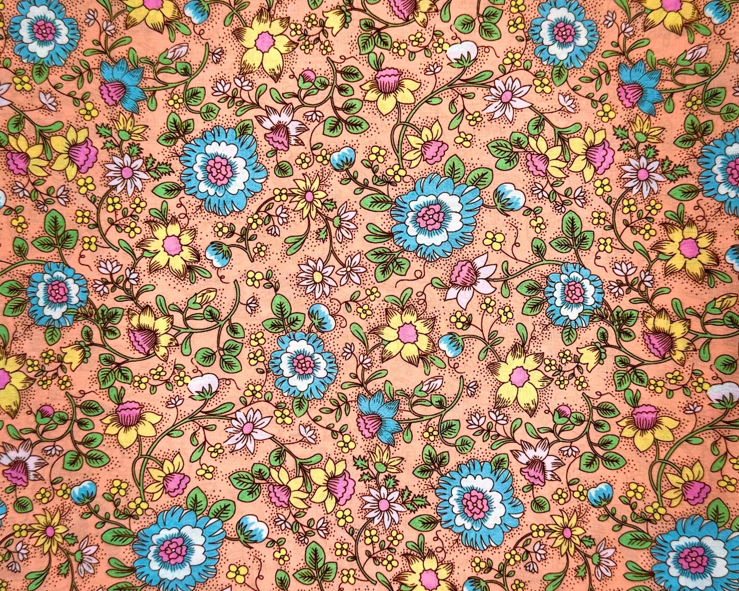 Debaj_0086