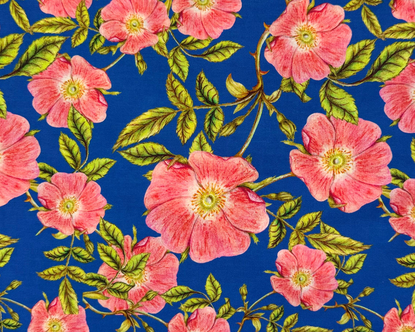 debaj_0120