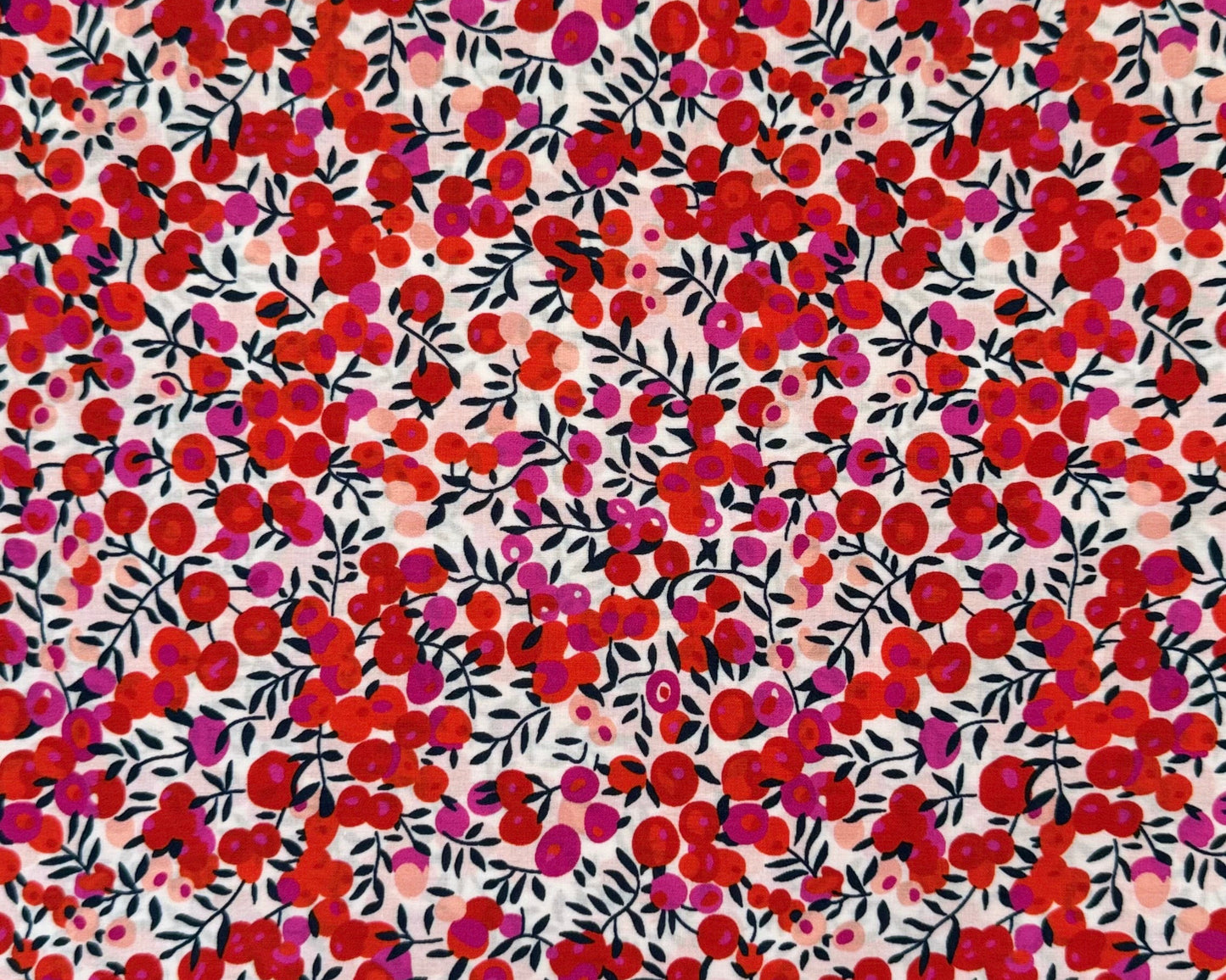 debaj_0193