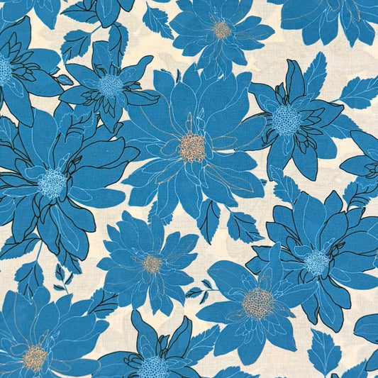 Debaj_0217